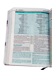 Biblia de Estudio Esquematizada Letra Grande RV1960, imit. piel con índice