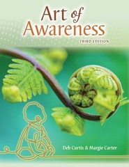 THE ART OF AWARENESS by Deb Curtis Paperback Self Help Business