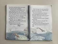 A Beka 1st Grade Animals in the Great Outdoors Set – Teacher and Student Books