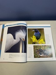 Birds Birds Birds (5): Boreal Birds of North America/Birds in Bloom/Canaries…