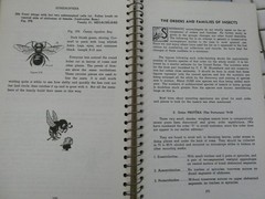 HOW TO KNOW THE INSECTS PUB 1947 SPIRAL BOUND HARD PAPER COVER 205 PAGES