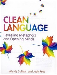 Clean Language:Revealing Metaphors and Opening Minds – Paperback – VERY GOOD