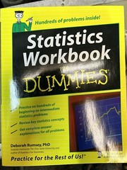 Statistics Workbook for Dummies by Deborah Rumsey (2005, Trade Paperback)