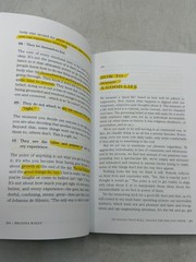 101 ESSAYS that will CHANGE the way YOU THINK Brianna Wiest 2017 Self-Help