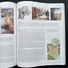 Essentials of Biological Anthropology by Clark Spencer Larsen (2025, Trade…