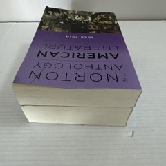 The Norton Anthology of American Literature 9th Edition, 2 Vol Set (B & C)