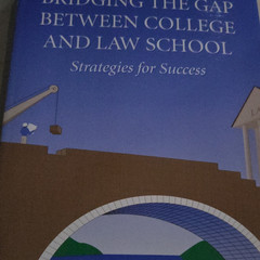 Carolina Academic Press Bridging the Gap College & Law School PB Stropus/Taylor