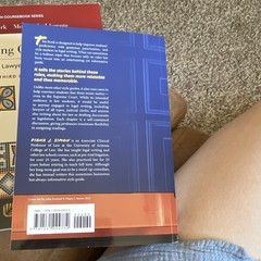 Carolina Academic Press Not Too Serious Legal Writing Style Guide PB 2022