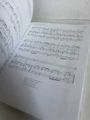 Singing Book by Cynthia Vaughn and Meribeth Bunch (2004, Trade Paperback Spiral)
