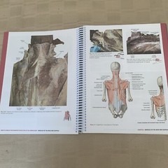 Gray’s Anatomy Ser.: Gray’s Clinical Photographic Dissector of the Human Body by