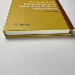 Permutation Parametric & Bootstrap Tests of Hypotheses Good Springer Hardcover