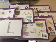 Science 2016 Activity Cards Grade 3 by Scott Foresman (2015, Cards,Flash Cards)