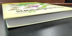 Logic of English Foundations B Teacher’s Manual