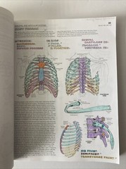 The Anatomy Coloring Book By Wynn Kapit & Elson 3rd Third Edition Paperback