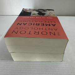 The Norton Anthology of American Literature Shorter 9th Edition, 2 Vol Set