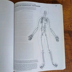Lot Of 3 Science Coloring Books Biology Anatomy Zoology Vintage