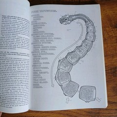 Lot Of 3 Science Coloring Books Biology Anatomy Zoology Vintage