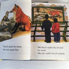 Phonics-Based READING STREET Grade 1 Book Set 1-5 Pearson Home School – Foresman