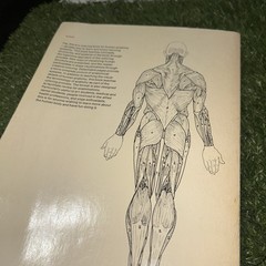 The Anatomy Coloring Book (2nd Edition), Kapit, Wynn; Elson, Lawrence M., Used;
