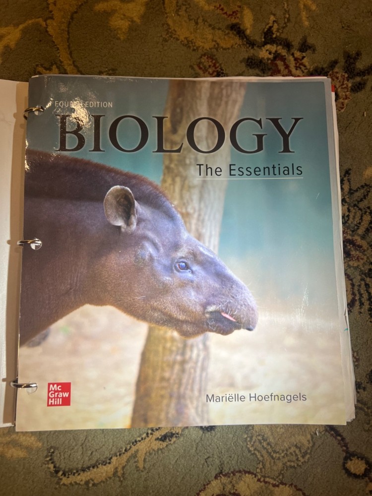 Loose Leaf for Biology: the Essentials by Mariëlle Hoefnagels (2021, Ringbound)