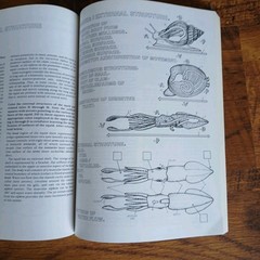 Lot Of 3 Science Coloring Books Biology Anatomy Zoology Vintage