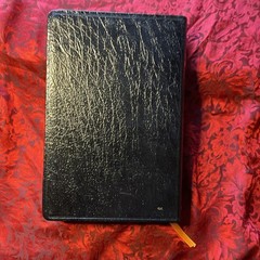 Holy Bible NAB New American Bible Thumb Index Genuine Leather